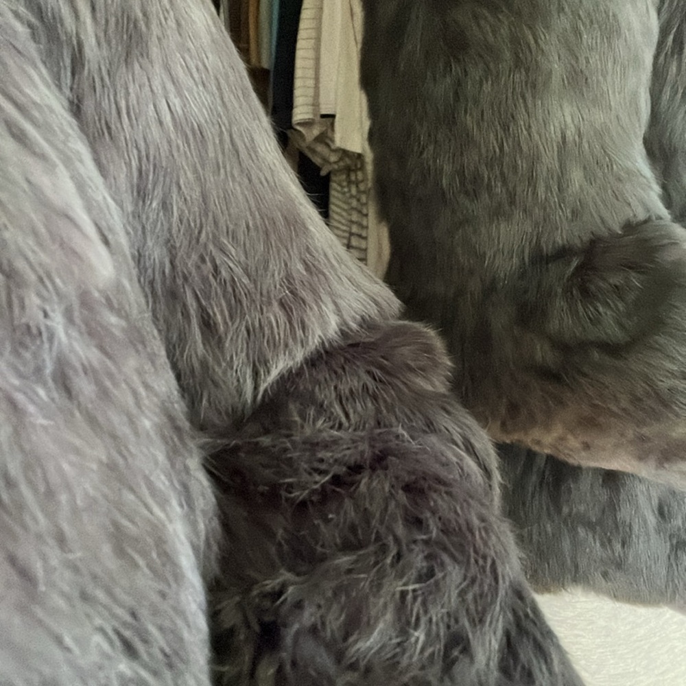 €Hostpick 11/11Genuine silver Fox Rabbit?? - Picture 10 of 11